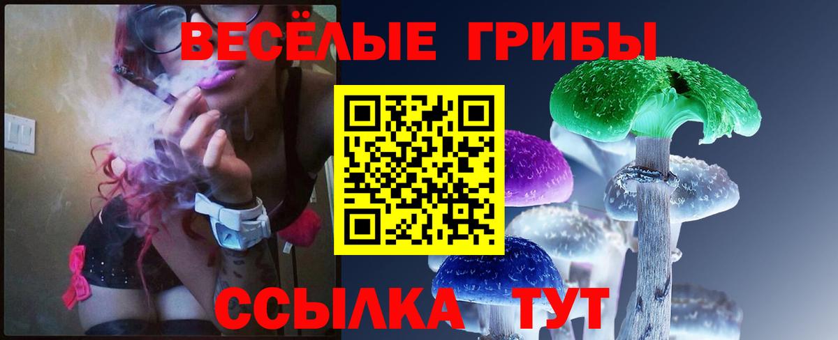 Галлюциногенные грибы Cubensis Кольчугино