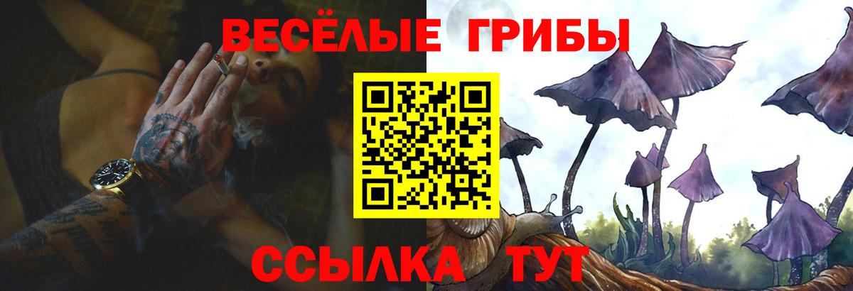 Галлюциногенные грибы Cubensis  Псилоцибиновые грибы Psilocybine cubensis  Кольчугино  Вход с VPN 